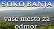 Soko Banja Portal